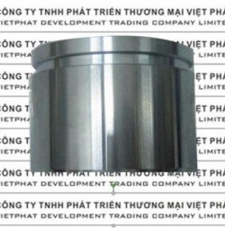 Piston phanh trước