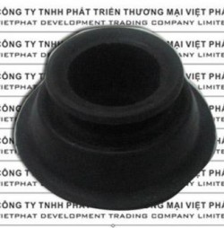 Cao su bát bèo
